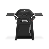 Q 2800N+ Gas Grill with Stand (Liquid Propane)