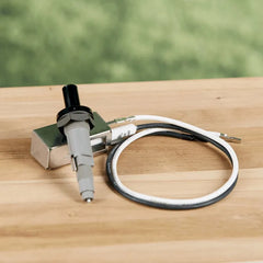 Igniter Kit - Compatible with most Spirit, Genesis (prior to 2002), and Platinum I/ II