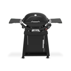 Q 2800N+ Gas Grill with Stand (Liquid Propane)