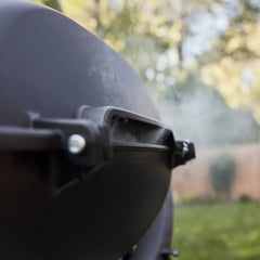 Q 2800N+ Gas Grill with Stand (Liquid Propane)