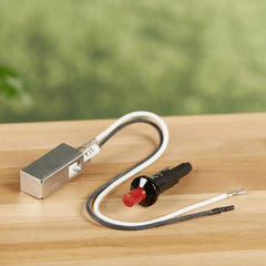 Igniter Kit - Compatible with most Genesis Silver/Gold/Platinum and Spirit 200/300 series