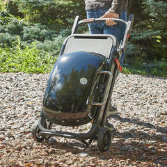 WEBER TRAVELER® Portable Gas Grill